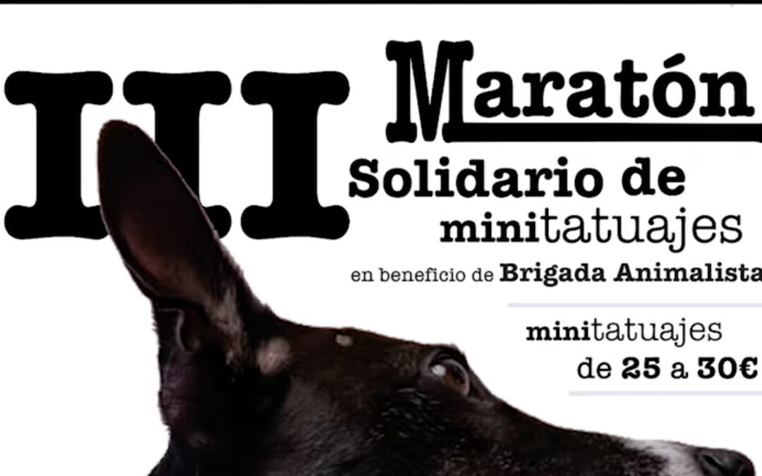Tercer Maraton de Minitatuajes Sanlúcar de Barrameda